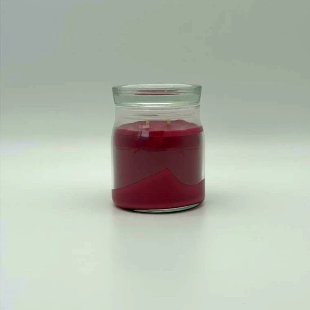 Yankee Candle Home Sweet Home Signature Medium Jar - 13 oz 2-Wick - NWT‎